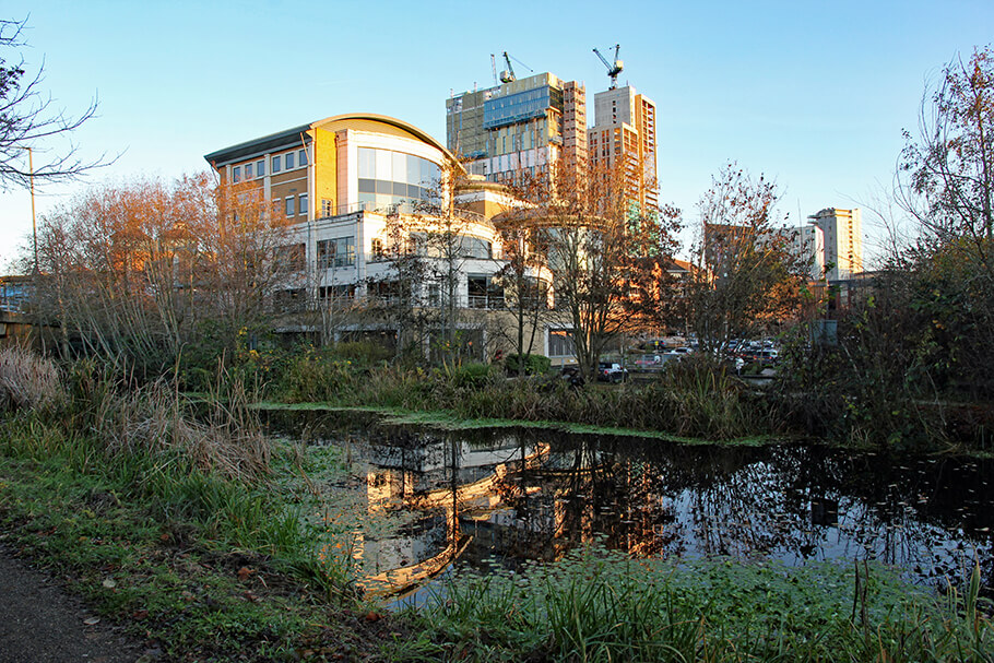 woking most popular place in surrey