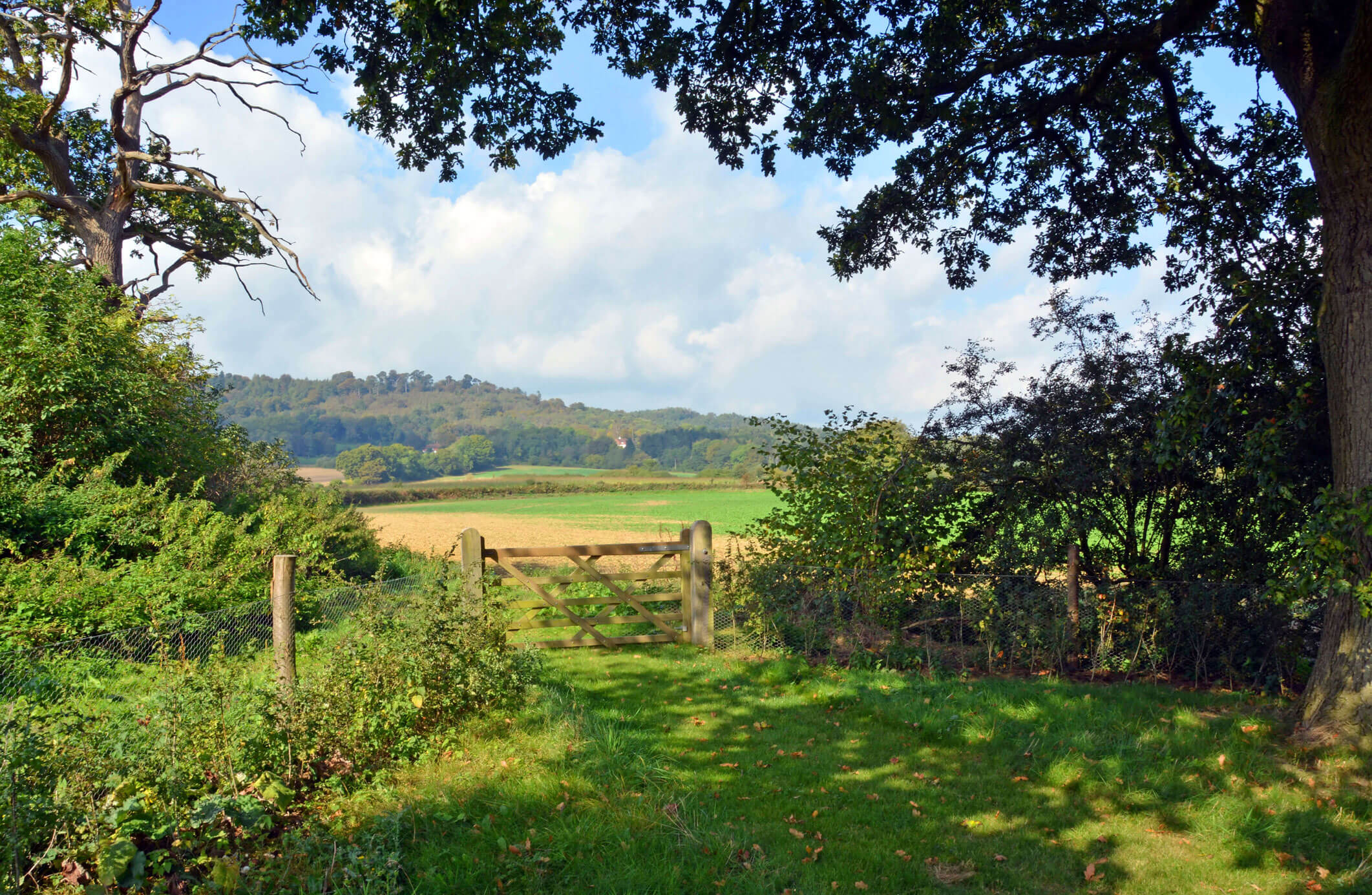 Cranleigh